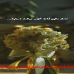 دانلود آهنگ مگه یادت نیست همه حسودیشون میشد به ما از هایده